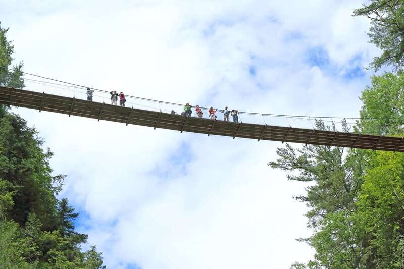 Canyon Sainte-Anne: Park Admission Ticket - What to Expect During Your Visit