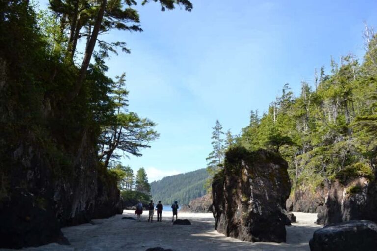 Cape Scott: San Josef Bay Day Hike with Scenic Drive - Who Will Love This Tour?