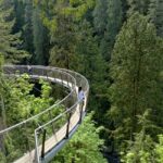Capilano Br+Grouse Mtn+Dam+Lake&Hatcher/5in1/Small Group/Car - Why the Tour Works for Travelers