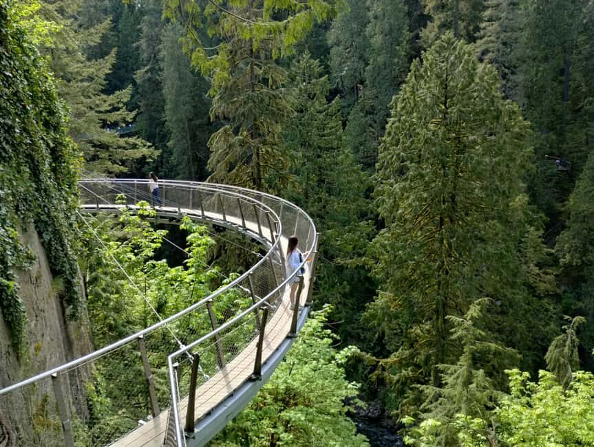 Capilano Br+Grouse Mtn+Dam+Lake&Hatcher/5in1/Small Group/Car - Why the Tour Works for Travelers