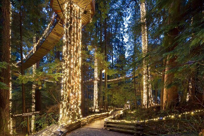Capilano Canyon Lights Evening Tour Christmas Magic Awaits - Why It’s Worth the Price