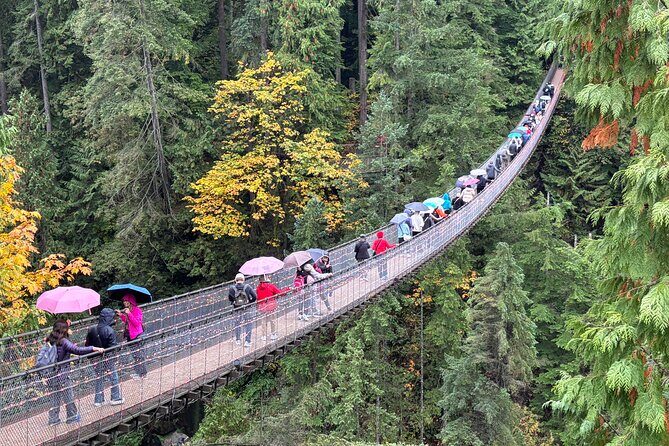 Capilano Suspension Bridge and Grouse Mountain Signature Tour - Who Should Consider This Tour?