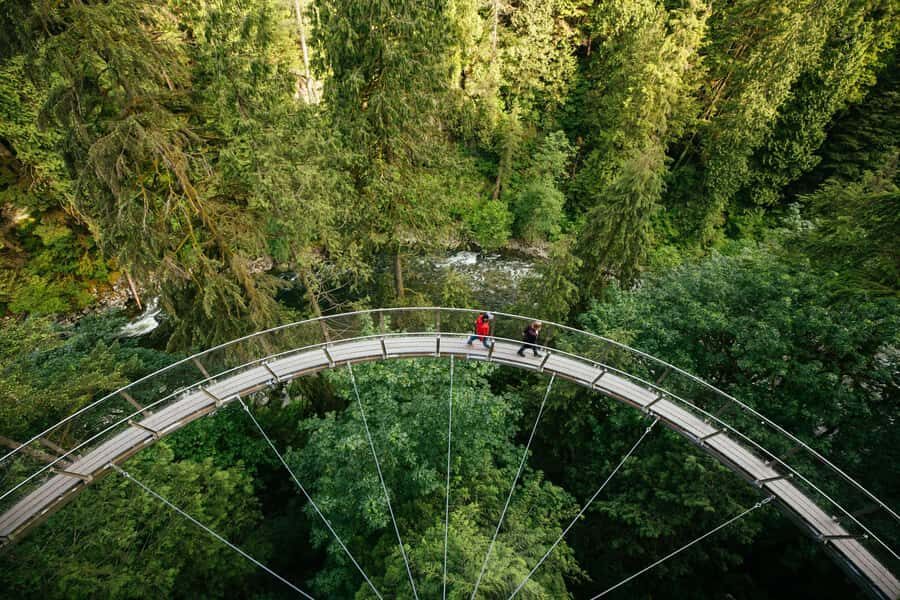 Capilano Suspension Bridge Canyon Lights & 4 Top highlights - Comprehensive Review of the Capilano Suspension Bridge Canyon Lights & 4 Top Highlights Tour