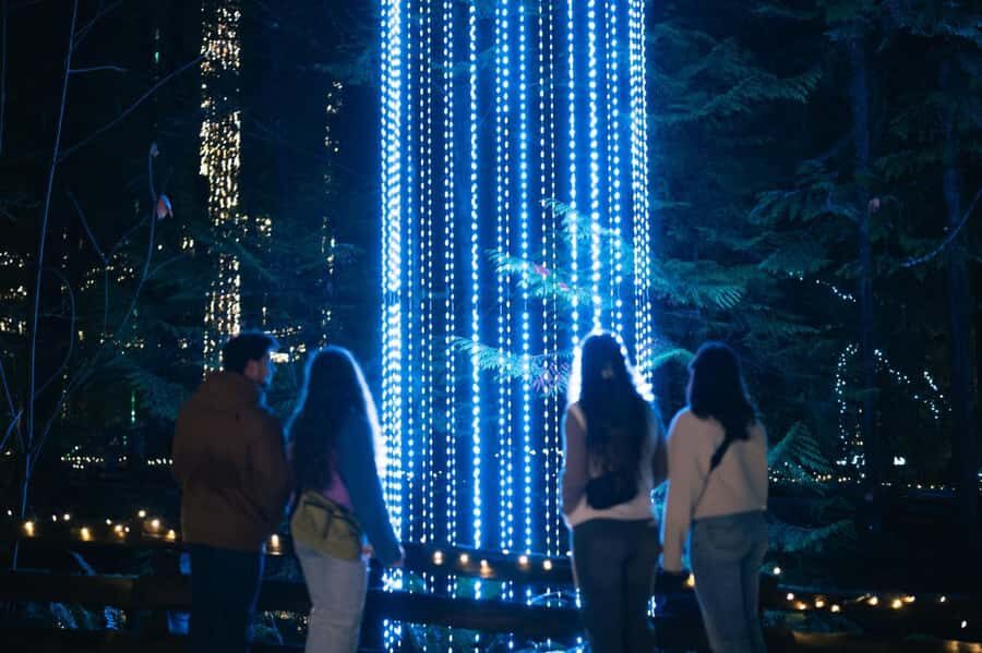 Capilano Suspension Bridge Canyon Lights Holiday Tour - Who Is This Tour Best Suited For?