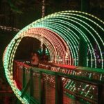 Capilano Suspension Bridge Canyon Lights Tour - Final Thoughts