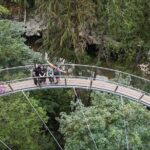 Capilano Suspension Bridge, Lynn Canyon & Capilano Hatchery Tour - Who Will Love This Tour?