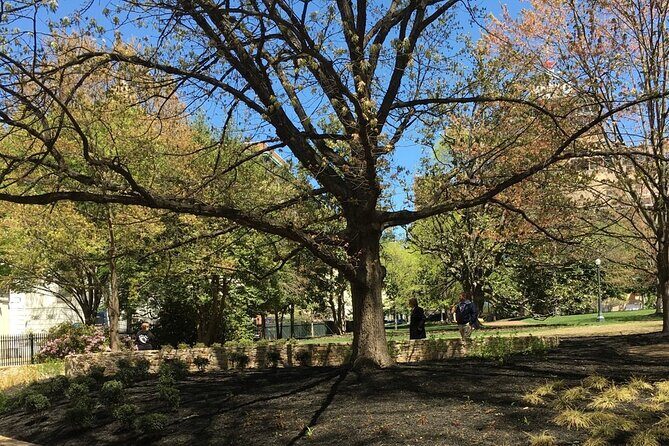 Capitol Steps and Stories Walking Tour - Whats Included and What You Should Know