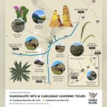 Carlsbad Caverns National Park Self Guided Audio Tour - Flexibility and Convenience