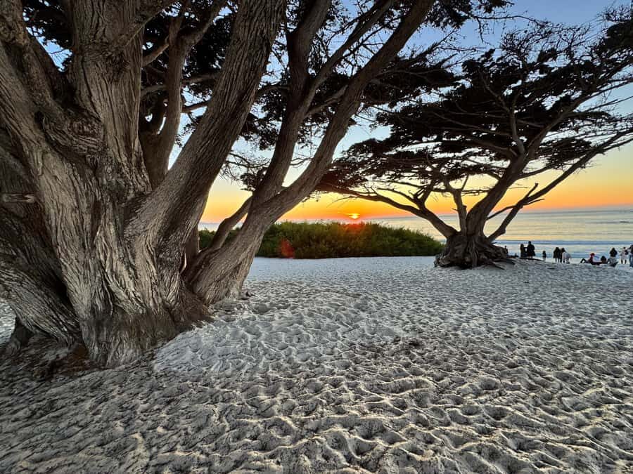 Carmel-by-the-Sea: Guided Food Tour with 5 Authentic Dishes - The Value in the Details