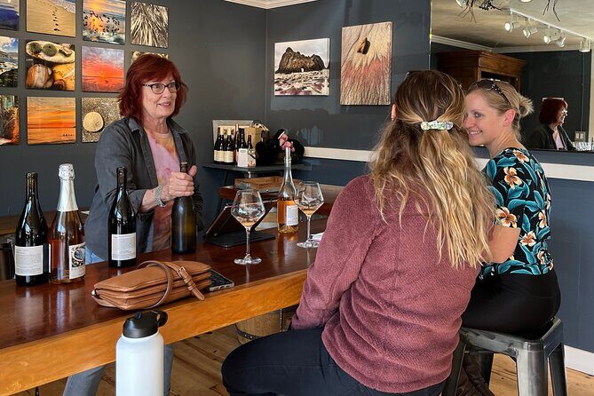 Carmel Valley Wine Tour in a Vintage VW Bus - The Scenic Drive: A Preview of Carmel Valley’s Beauty