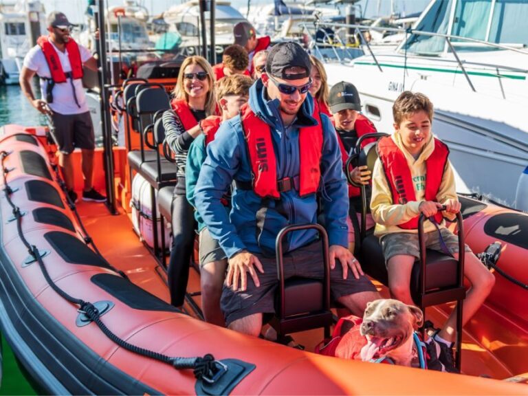 Cascais: Dolphin Watching Tour - Detailed Review of the Cascais Dolphin Watching Tour