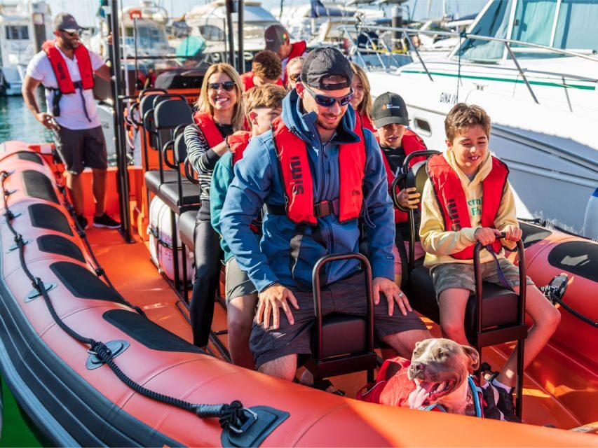 Cascais: Dolphin Watching Tour - Detailed Review of the Cascais Dolphin Watching Tour