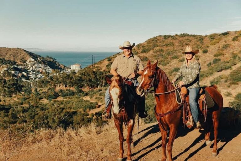 Catalina Island: Bluff View Horseback Ride - Value and Pricing—Is It Worth It?