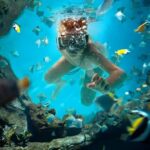 Catalina Island Full-Day Snorkeling + Lunch from Punta Cana - What the Reviews Say