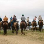 Catalina Island: Horse Trail Overlook Ride - Why This Tour Is a Worthwhile Choice