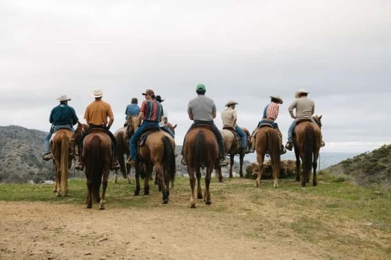 Catalina Island: Horse Trail Overlook Ride - Why This Tour Is a Worthwhile Choice