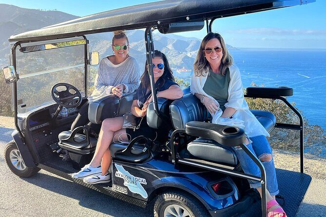 Catalina Island Private 2-Hour Tour of Avalon - An In-Depth Look at the Catalina Island Private Tour