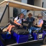Catalina Island Private Guided Golf Cart Tour of Avalon - The Sum Up