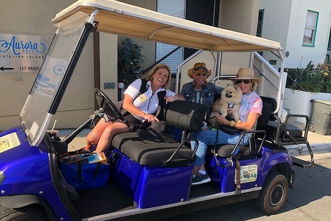 Catalina Island Private Guided Golf Cart Tour of Avalon - The Sum Up