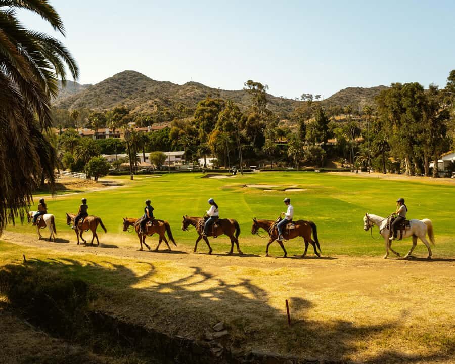 Catalina Island: Trail and Canyon Horseback Ride - The Practical Details: What You Need to Know