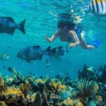 Catamaran along the Riviera Maya Snorkel food and open bar - The Value of the Tour