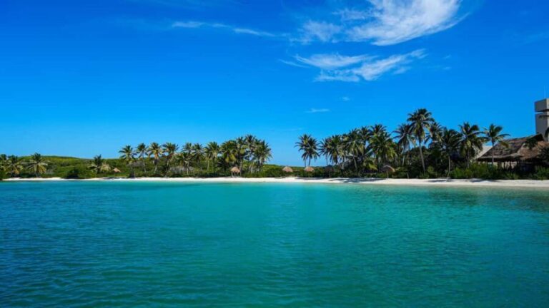 Catamarán Cruise to Isla Mujeres & Buffet Lunch - Deep Dive into the Itinerary