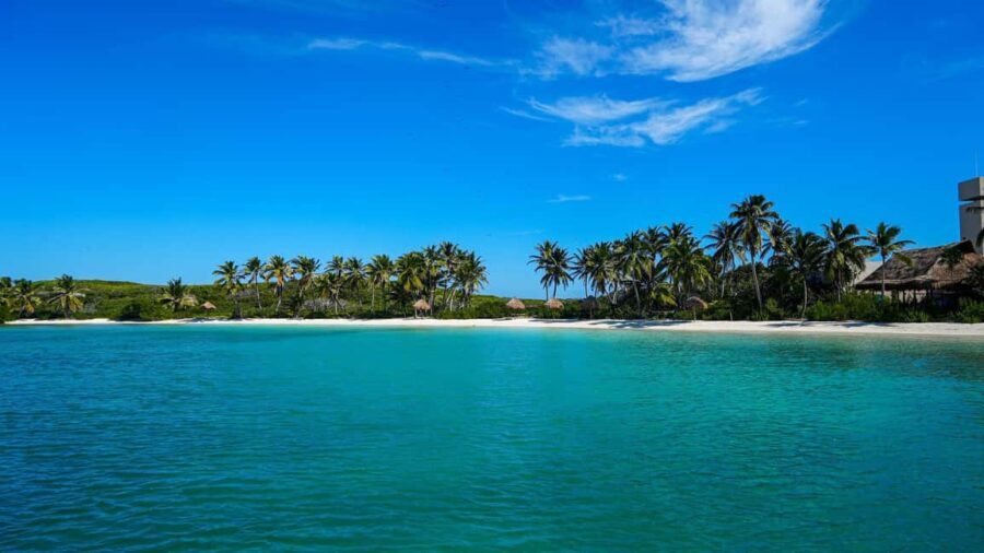 Catamarán Cruise to Isla Mujeres & Buffet Lunch - Deep Dive into the Itinerary