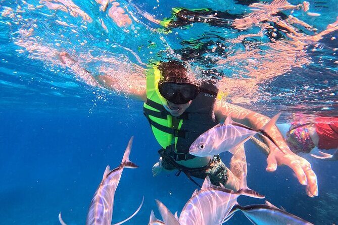 Catamaran in Cozumel with snorkeling at El Cielo and open Bar - Practical Details: What You Need to Know