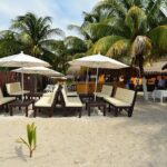 Catamaran Plus Reef Snorkeling and Isla Mujeres Visit - The Value Proposition