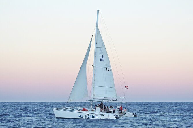 Catamaran Snorkel at Los Cabos! Gorgeous Snorkel & Party + Round Transportation - The Sum Up: Who Is This Tour Best For?