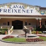 Cavas Freixenet Wine Tour from Mexico City - Who Would Enjoy This Tour?