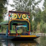 CDMX Enjoy a unique tour of Xochimilco and Coyoacán - What’s Included and What to Expect