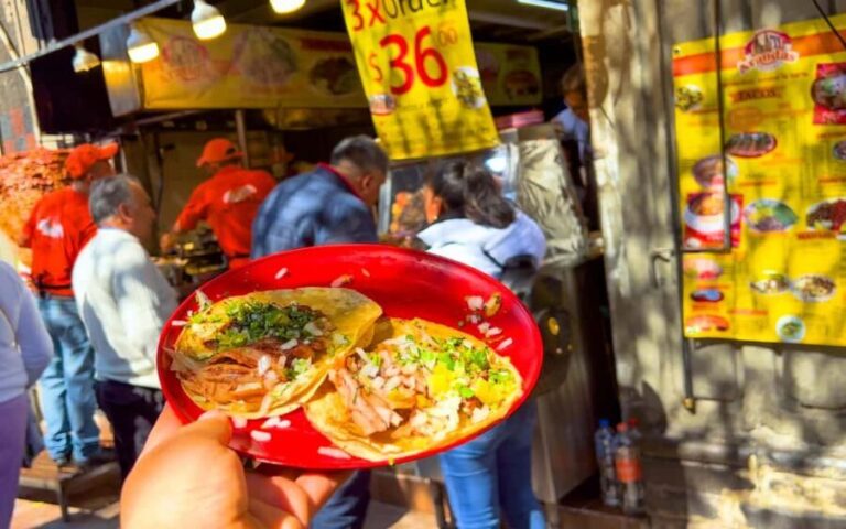 CDMX: Exotic Food and Market Tour - Who Will Love This Tour?