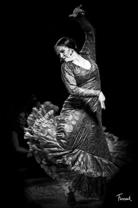CDMX: Live Flamenco Show and Dinner - The Performance: What to Expect
