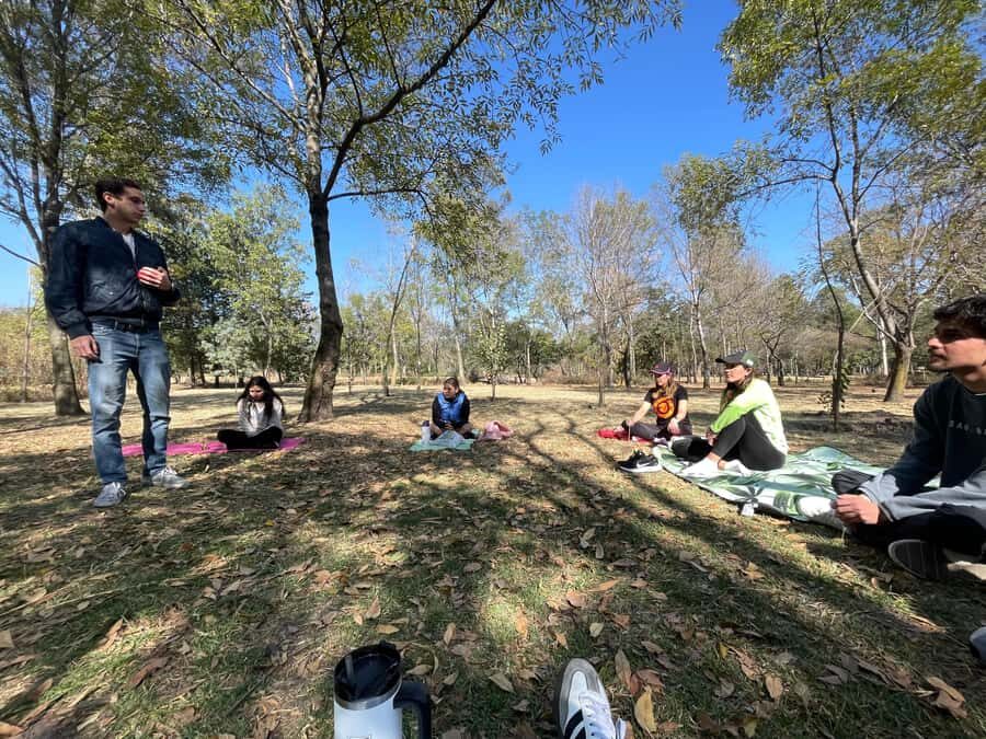 CDMX: Nature Therapy Guided Session - What to Expect from the Experience