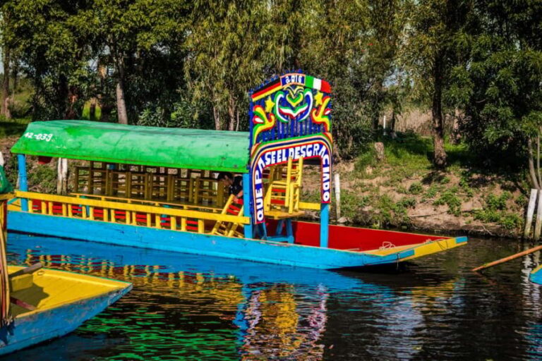 CDMX: Private tour of Xochimilco, Coyoacán, and the Frida Museum - A Deep Dive into the Experience