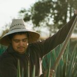 CDMX Tasting of Mezcal vibes - The Sum Up: Who Will Love This Tour?