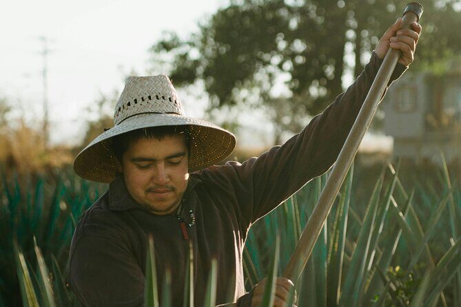 CDMX Tasting of Mezcal vibes - The Sum Up: Who Will Love This Tour?