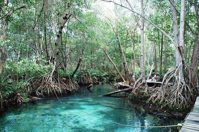 Celestun Beach and Mangrove Boat Ride from Merida - Authentic Experiences That Shine