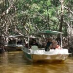 Celestun, Flamenco Adventure, from Merida - Who Is This Tour Best For?