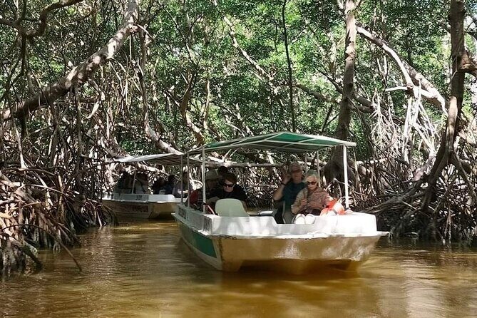 Celestun, Flamenco Adventure, from Merida - Who Is This Tour Best For?