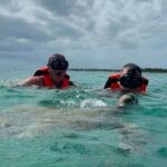 Cenote and Swimming with Turtles Private Tour in Akumal - The Sum Up: Who Should Book This Tour?