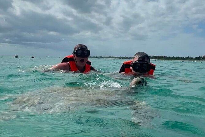 Cenote and Swimming with Turtles Private Tour in Akumal - The Sum Up: Who Should Book This Tour?