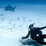 Cenote Diving in Tulum A Thrilling Adventure for Certificates - What You Can Expect from This Tour