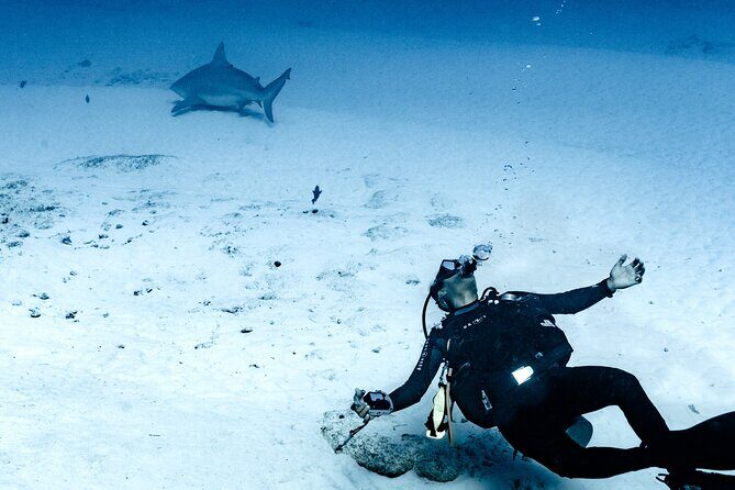 Cenote Diving in Tulum A Thrilling Adventure for Certificates - What You Can Expect from This Tour