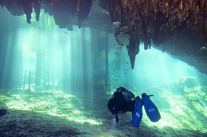 Cenote Dreamgate Guided Scuba Diving - The Environmental Context and Responsible Tourism