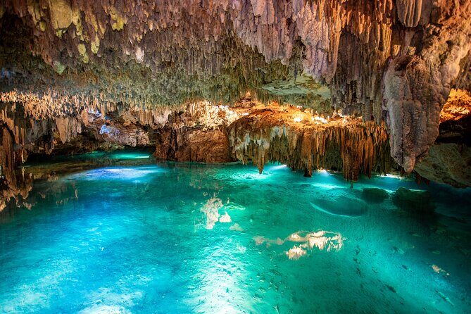 Cenote Turtle and Beach Club Full Day Tour - How It Stacks Up in Value