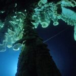 Cenotes 2-Tank Dive in Playa del Carmen/for certified divers only - The Experience from Real Travelers’ Perspectives