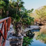 Cenotes Casa Tortuga 4 Cenotes Day Pass - What its Like to Visit