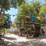 Cenotes Casa Tortuga: 4 Cenotes Day Pass All Inclusive - The Itinerary in Detail